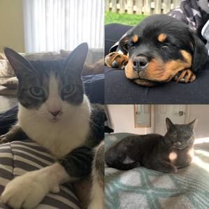 Meet your Posher, Sara